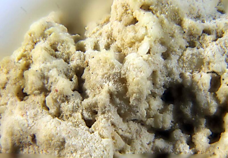 Ammonioalunite