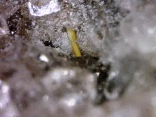 Holfertite-622845.jpg