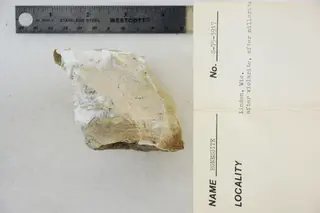 Honessite after Violarite and Millerite (48522480071).jpg