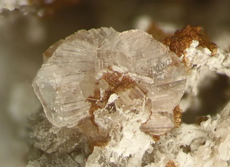 Horváthite-(Y)-299248.jpg