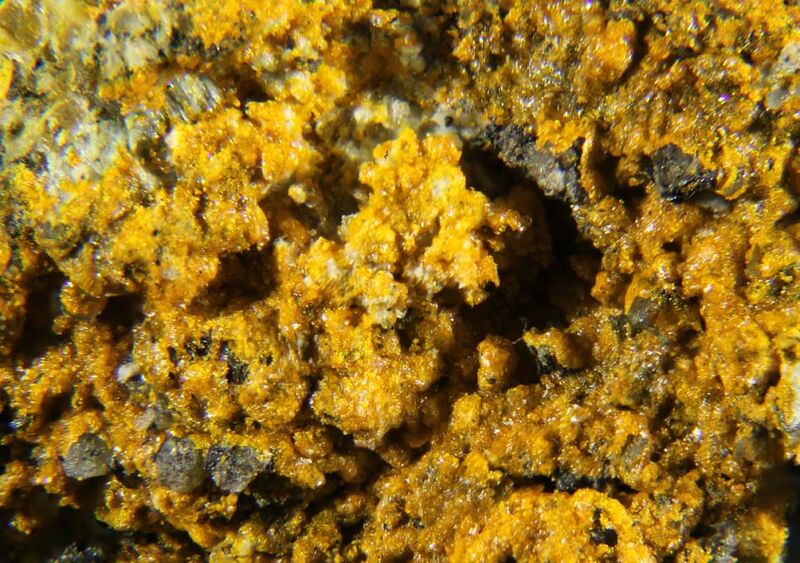 Huemulite