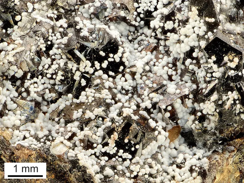 Katsarosite.jpg