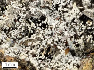Katsarosite.jpg