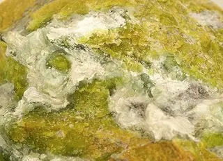 Hydrotalcite-200668.jpg