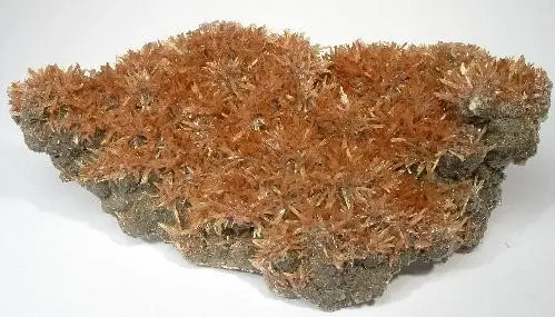 Inesite-118632.jpg