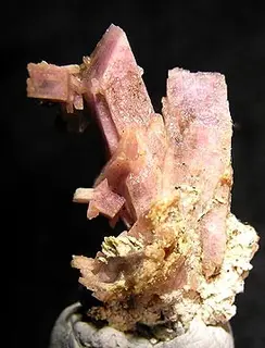Inesite-185441.jpg
