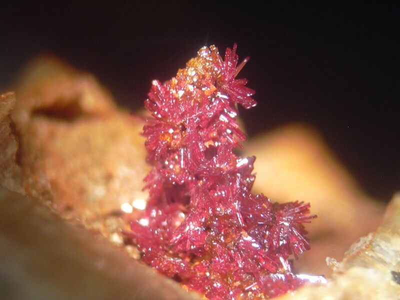 Iranite