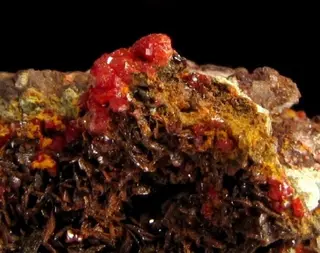 Iranite, Wulfenite-364282.jpg