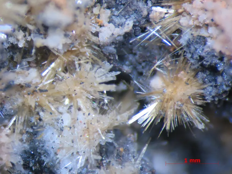 Achyrophanite (a).png