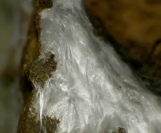 Irhtemite-88280.jpg