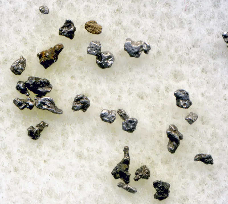 Platinum nuggets (placer platinum) (Granite Creek, southern British Columbia, Canada) (17125947987).jpg
