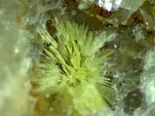 Jamborite-1165890.jpg