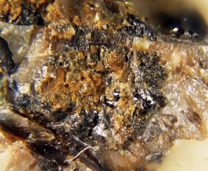 Johnsomervilleite