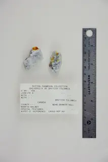 Joséite-A (46010910065).jpg
