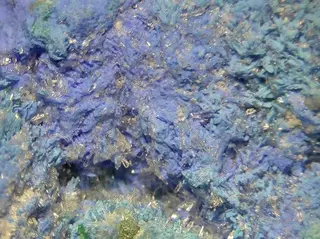 Juangodoyite-Sanromanite-105785.jpg
