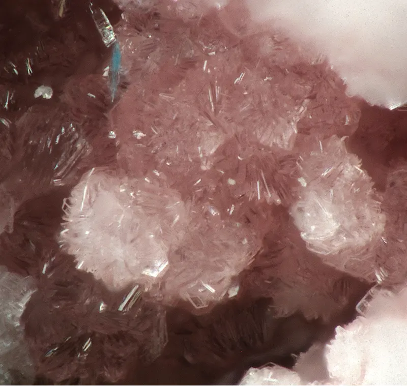 Juansilvaite-797218.jpg