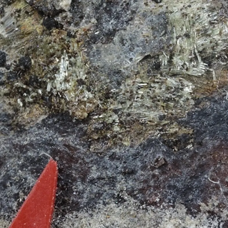 Segelerite-710278.png