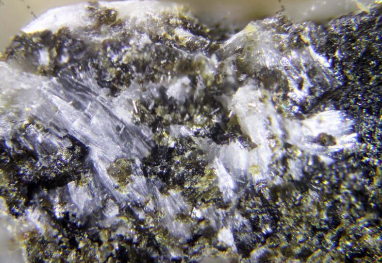 Kalborsite