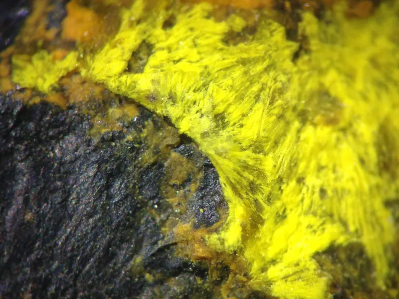 Kamotoite-(Y), Kamoto East, DRC.jpg