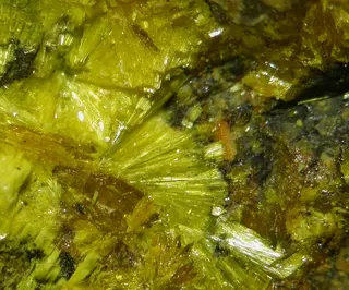 Kamotoite-(Y)-452106.jpg