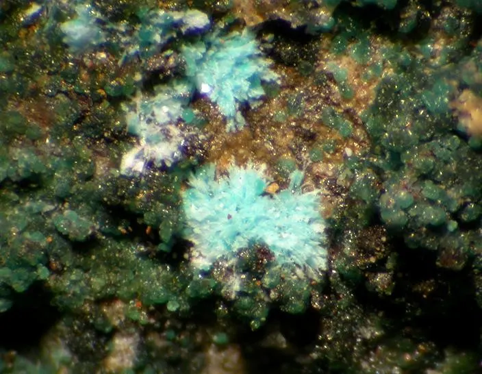 Kapellasite-89910.jpg