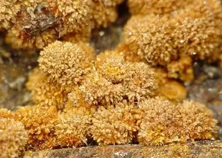 Karibibite-201245.jpg