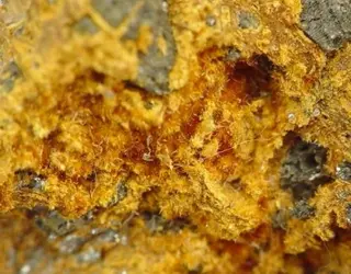 Karibibite-290009.jpg