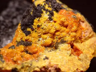 Kasolite-20884.jpg