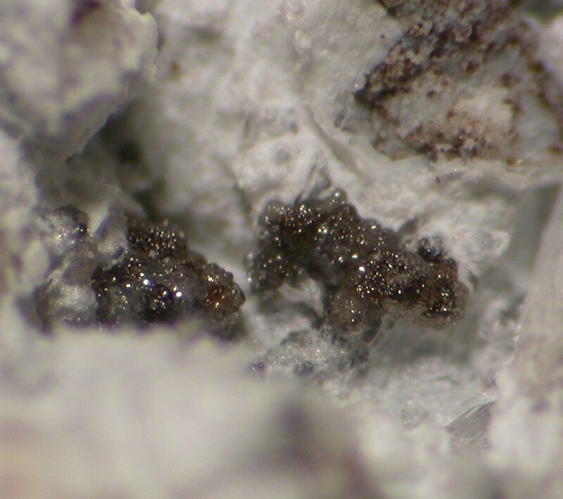 Katoite