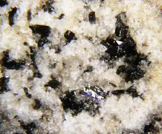 Katophorite.jpg