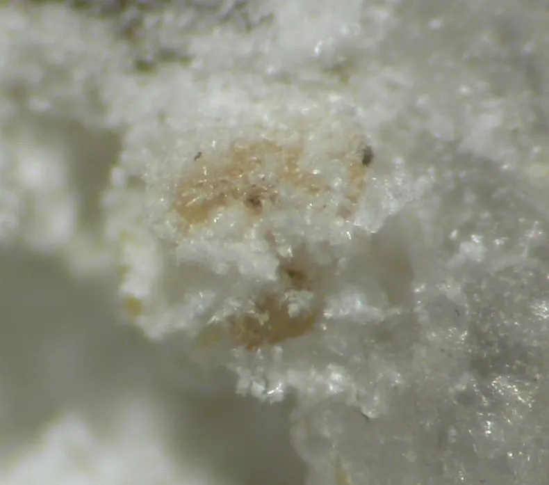 Kazakovite-482110.jpg