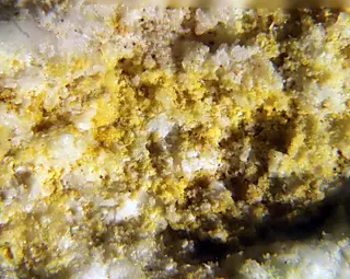Khademite & Natrojarosite.jpg