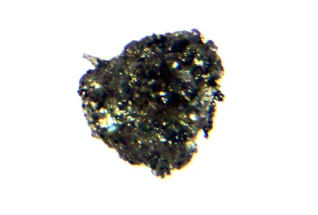 Khamrabaevite.jpg