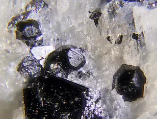 Kimzeyite-magnetite.jpg