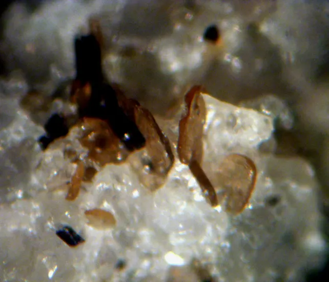 Kinoshitalite-337761.jpg