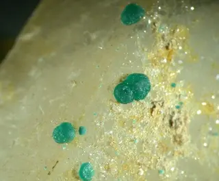 Philipsburgite-366257.jpg