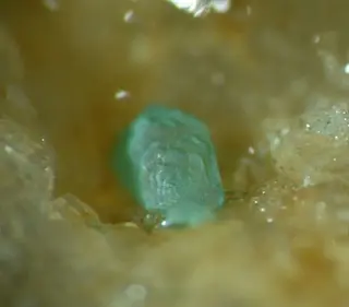 Philipsburgite-366258.jpg