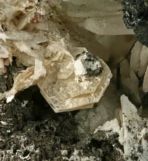 Polylithionite-323474.jpg