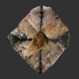 Chiastolite 2581.jpg