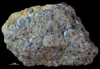 Estonian shelly phosphorites 2.jpg