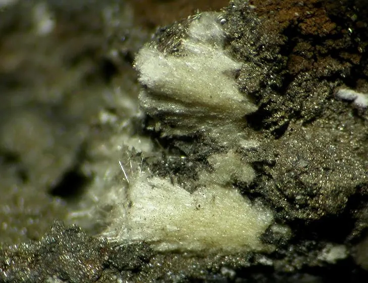 Kleemanite-132868.jpg