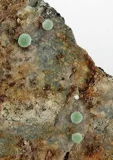 Kolbeckite-215064.jpg
