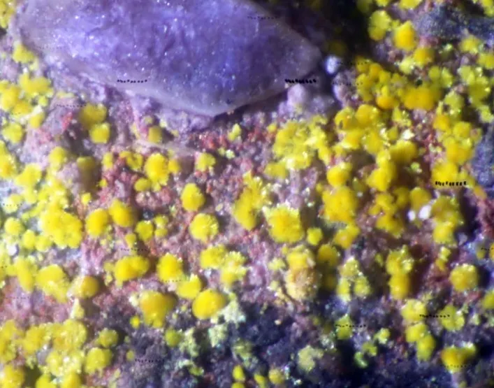 Kollerite.jpg