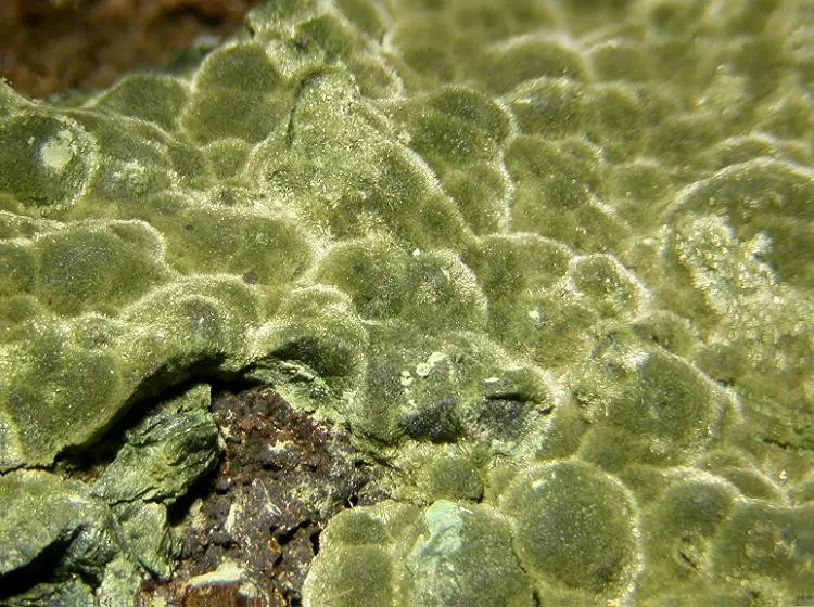 Kolwezite-92474.jpg