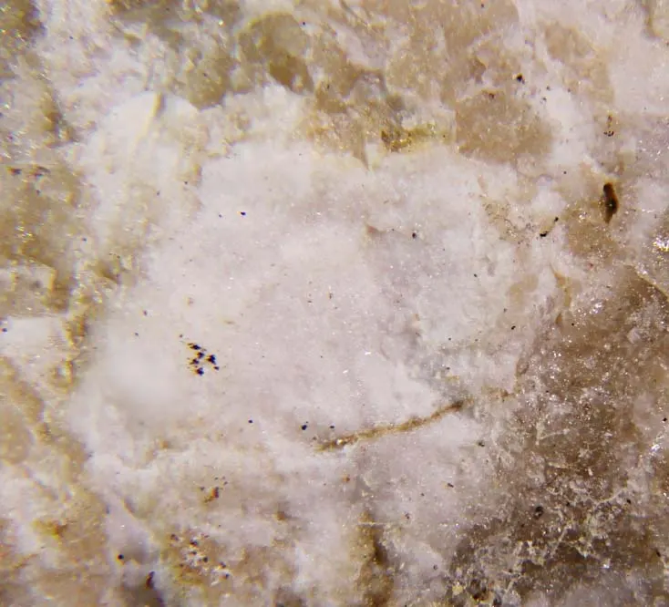 Komarovite.jpg