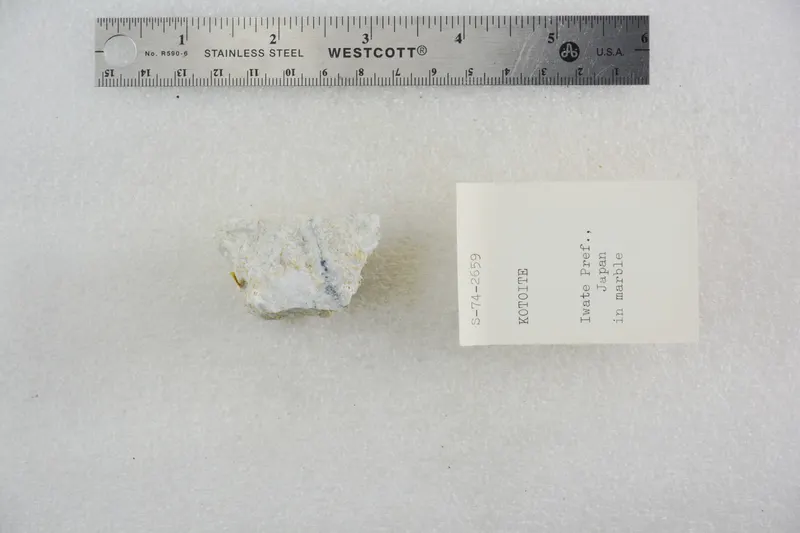 Kotoite in Marble (48002876626).jpg
