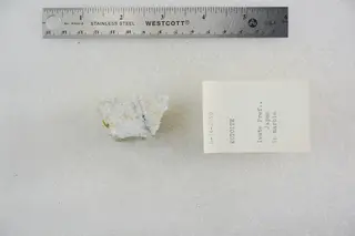 Kotoite in Marble (48002876626).jpg