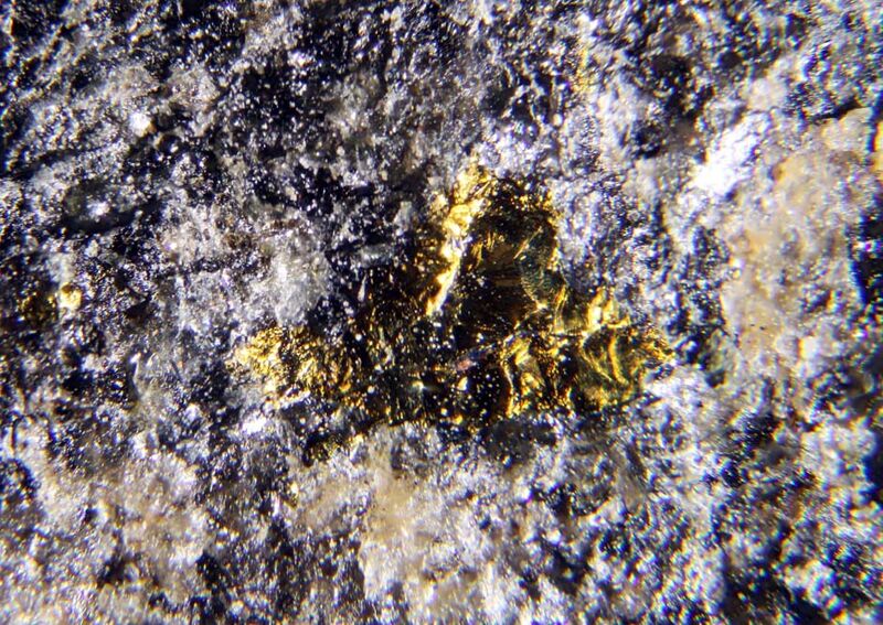 Kotulskite