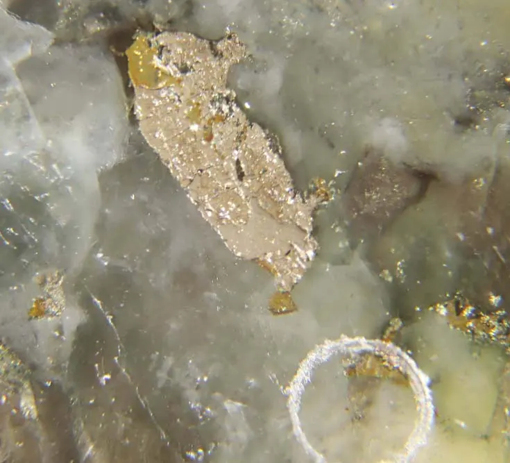 Kotulskite & Moncheite.jpg