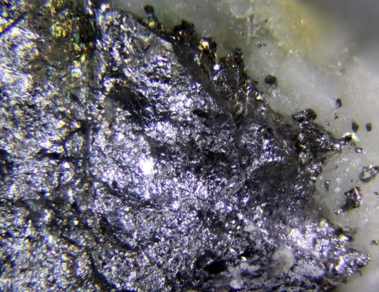 Paxite.jpg